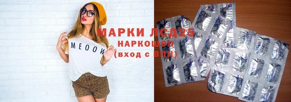 молекула духа Арсеньев