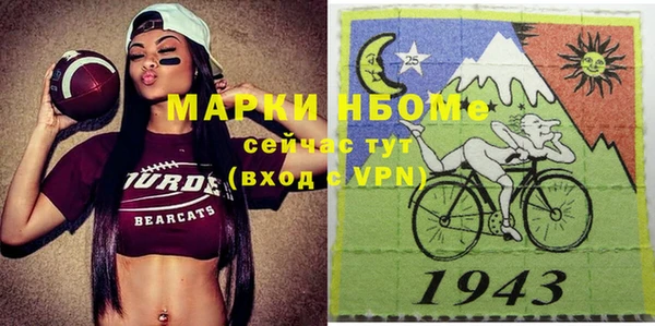 прущие грибы Аркадак