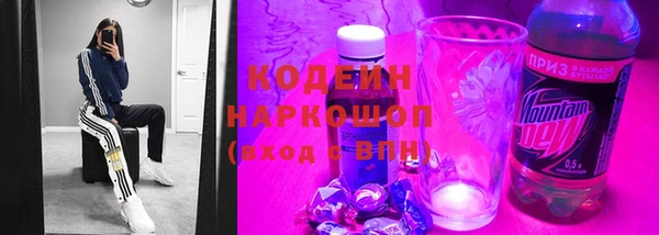 прущие грибы Аркадак