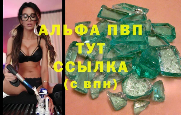 молекула духа Арсеньев