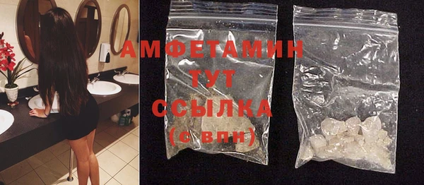 прущие грибы Аркадак
