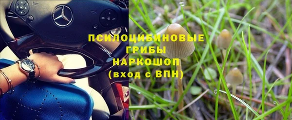 молекула духа Арсеньев