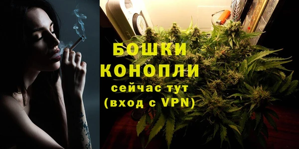 прущие грибы Аркадак