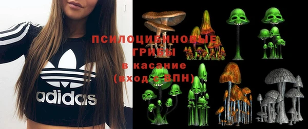PSILOCYBIN Алзамай