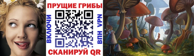 MEGA ONION  Гвардейск  Псилоцибиновые грибы прущие грибы 